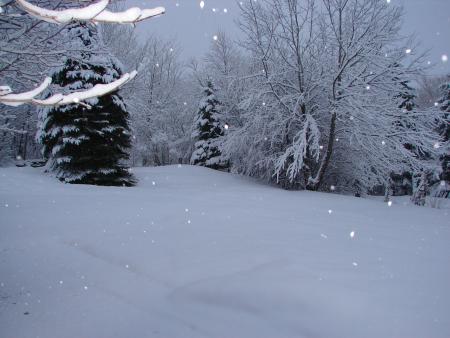 vue par la f�netre de chez toi au canada mon amour 