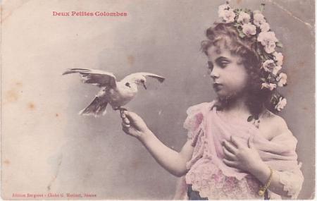 deux petites colombes