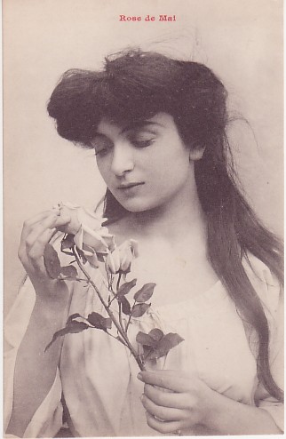 rose de mai