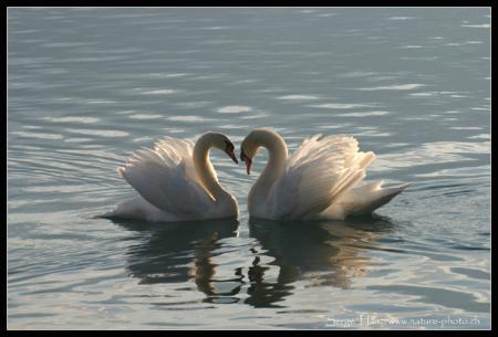 tu es enfin arriv� mon amour